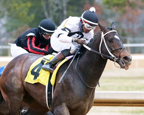 Silver State wins the Fifth Season Stakes Saturday, January 23, 2021 at Oaklawn Park