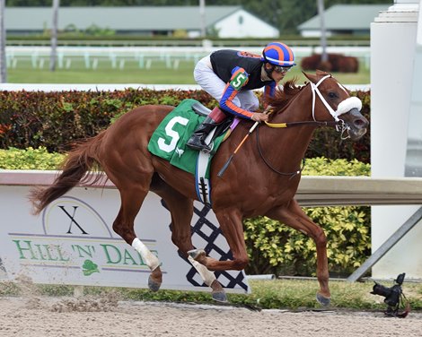 Drain the Clock wins the 2021 Swale Stakes at Gulfstream Park  