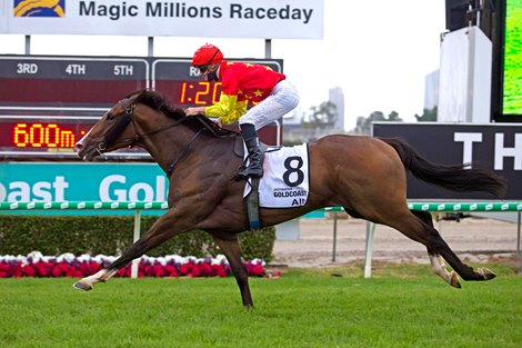 Aim wins the 2021 Magic Millions 3YO Guineas<br><br />
ridden by James Mcdonald, and trained by Peter &amp; Paul Snowden