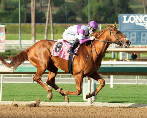 Found My Ball wins a maiden special weight January 22, 2021 at Santa Anita Park