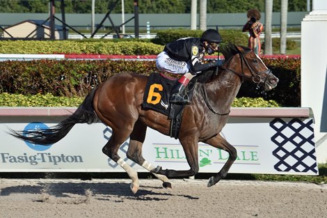Pacific Gale wins the 2021 Inside Information Stakes at Gulfstream Park