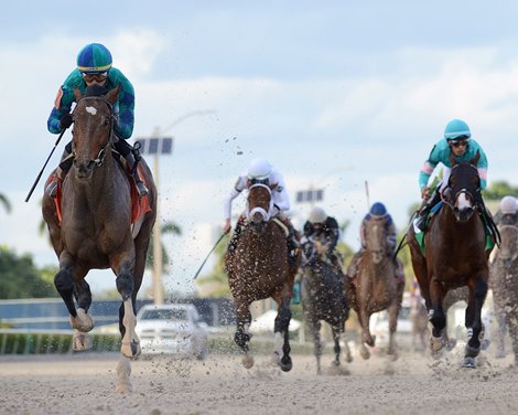 Greatest Honour wins the 2021 Holy Bull Stakes at Gulfstream Park                          