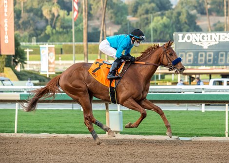 Kalypso and jockey Joel Rosario win the Grade II, $200,000 Santa Ynez Stakes, Sunday, January 3, 2021 at Santa Anita Park, Arcadia CA.<br><br />
&#169; BENOIT PHOTO