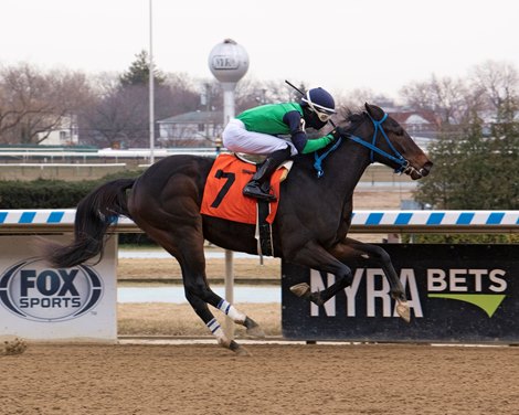 Respect for All (previously named Grape Soda) wins a maiden claiming race Friday, January 8, 2021 at Aqueduct