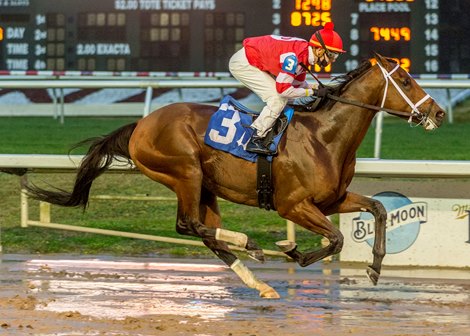 Kittansett wins a maiden special weight December 31, 2020 at Fair Grounds