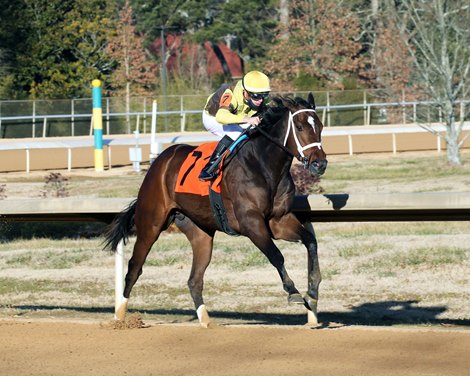 Essential Quality Tops Early Triple Crown Nominations - BloodHorse