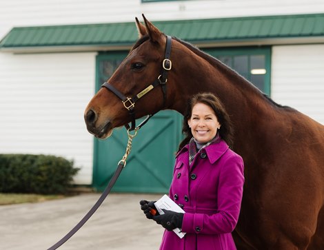 Beholder at Spendthrift Farm