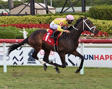 Chess&#39;s Dream wins the 2021 Kitten&#39;s Joy Stakes at Gulfstream Park                               