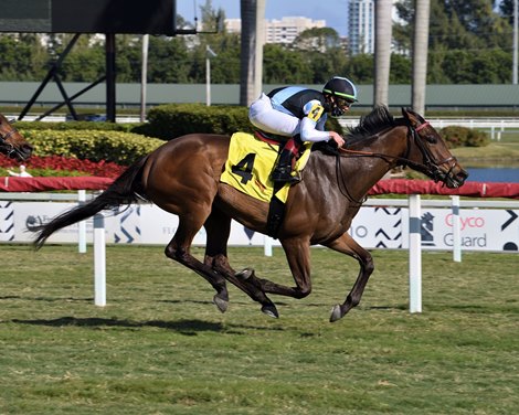 Mia Martina wins an allowance optional claiming race Sunday, January 10, 2021 at Gulfstream Park