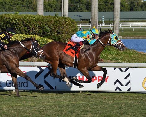 Tide of the Sea wins the 2021 W. L. McKnight Stakes at Gulfstream Park