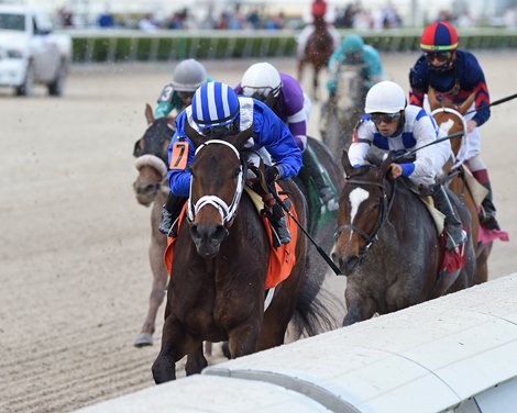 Zaajel wins the 2021 Forward Gal Stakes at Gulfstream Park                   