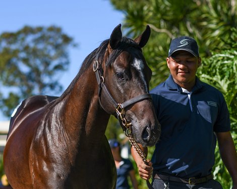 2021 Magic Millions Gold Coast Yearling Sale, Lot 115 Snitzel - Bonny O’Reilly, $1.9 million 