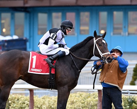 Hello Hot Rod wins the Jimmy Winkfield Stakes Sunday, January 31, 2021 at Aqueduct