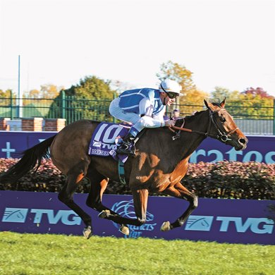 Goldikova wins the Breeders&#39; Cup Mile at Churchill Downs on Nov.6, 2010, in Lexington, KY.