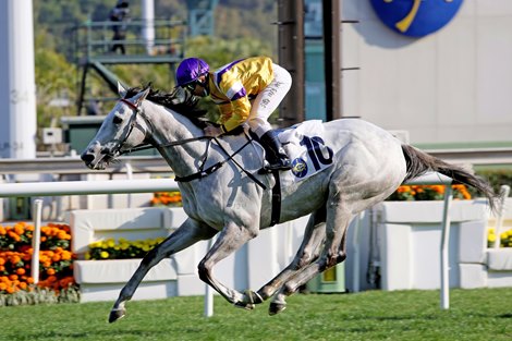 The Francis Lui-trained Glorious Dragon, with Matthew Poon atop, wins the Group 3 Centenary Vase Handicap (1800m) at Sha Tin today