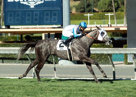 Leggs Galore wins the 2021 Sunshine Millions Filly and Mare Turf Sprint Stakes at Santa Anita