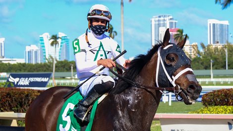 Fearless wins the 2021 Gulfstream Park Mile Stakes