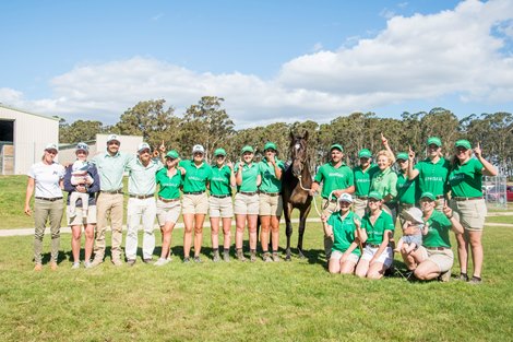 Lot 104, 2021 Magic Millions Tasmanian Yearling Sale at Quercus Park