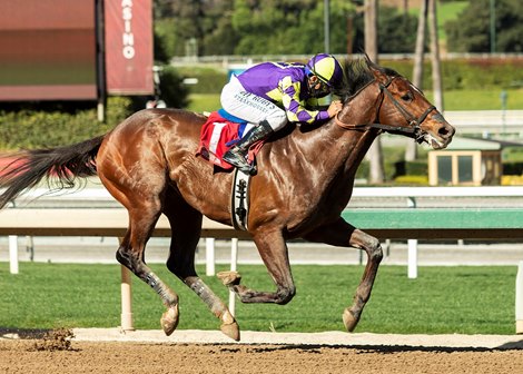 Exaulted - AOC, Santa Anita Park, February 12, 2021