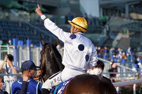 Vincent Ho celebrates the win