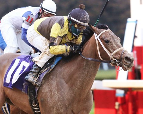 The Mary Rose wins the 2021 Downthedustyroad Breeders&#39; Stakes at Oaklawn Park