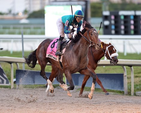 Greatest Honour wins the 2021 Fountain of Youth Stakes at Gulfstream Park                           