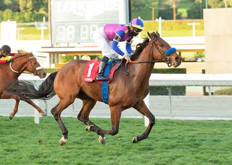Big Talker wins a maiden special weight February 14, 2021 at Santa Anita Park