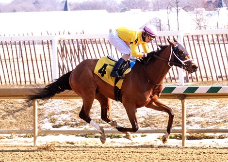Maythehorsebwithu wins the Miracle Wood Stakes Saturday, February 21, 2021 at Laurel Park