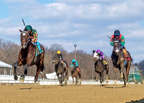 Lucky Stride wins the Nellie Morse Stakes Saturday, February 20, 2021 at Laurel Park