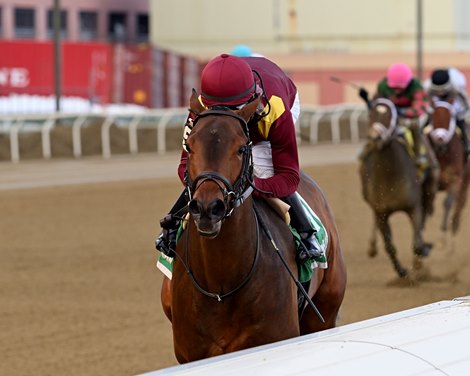 Nicky the Vest wins the Gander Stakes Sunday, February 14, 2021 at Aqueduct