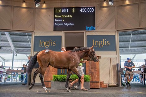2021 Inglis Classic Yearling Sale, Lot 591