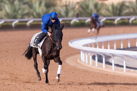 Rebel&#39;s Romance - Saudi Cup - Trackwork, February 19, 2021