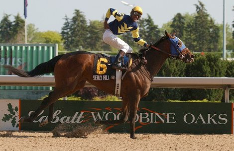 Sealy Hill wins the 2007 Labatt Woodbine Oaks