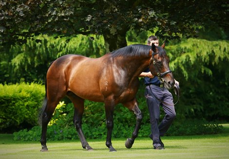 Fastnet Rock