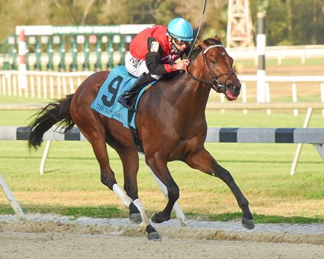 Candy Man Rocket wins the Sam F. Davis Stakes Saturday, February 6, 2021 at Tampa Bay Downs