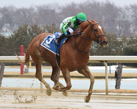 Mr. Buff wins the 2021 Stymie Stakes at Aqueduct                          