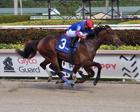 Quantum Leap wins a maiden special weight February 20, 2021 at Gulfstream Park