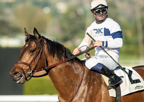 Jockey Umberto Rispoli guides Hit the Road to the winner&#39;s circle after their victory in the Grade III, $100,000 Thunder Road Stakes, Saturday, February 6, 2021 at Santa Anita Park, Arcadia CA. &#169; BENOIT PHOTO