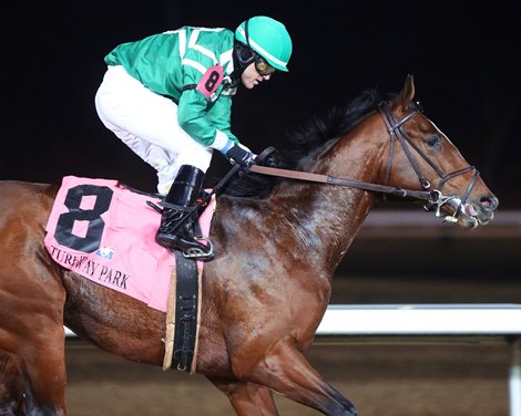 Hush of a Storm wins the 2021 John Battaglia Memorial at Turfway Park