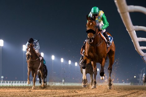 Secret Ambition (GB) (Satish Seemar – Tadhg O’Shea) wins the 1600m, dirt, Firebreak Stakes Sponsored By DP World UAE Region at the third Dubai World Cup Carnival on February 4, 2021