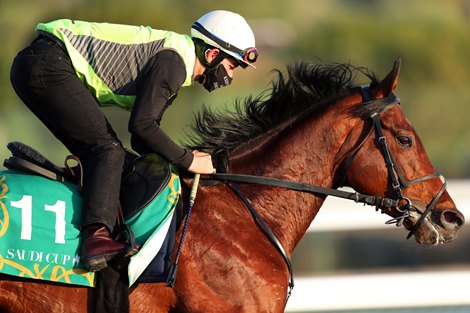 Mishriff - Saudi Cup 2021 - Trackwork, February 16, 2021