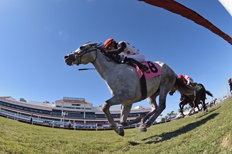 Comedy Town - Maiden Win, Gulfstream Park, February 4, 2021                          