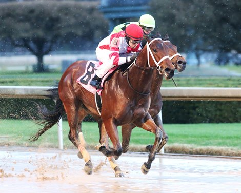 Windmill wins the 2021 Dixie Belle Stakes at Oaklawn Park