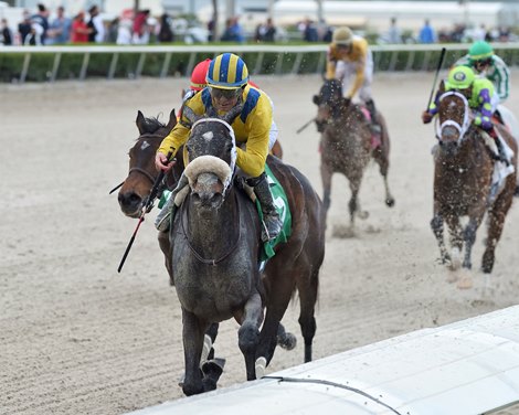 Queen Nekia wins the 2021 Royal Delta Stakes at Gulfstream Park                 