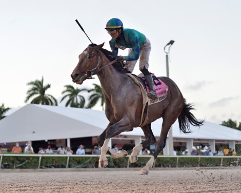 Greatest Honour wins the 2021 Fountain of Youth Stakes at Gulfstream Park                             
