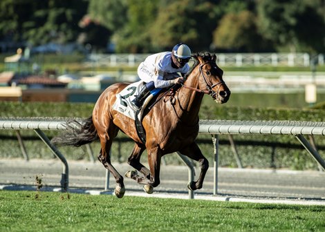 Hit the Road and jockey Umberto Rispoli win the Grade III, $100,000 Thunder Road Stakes, Saturday, February 6, 2021 at Santa Anita Park, Arcadia CA.<br>
© BENOIT PHOTO