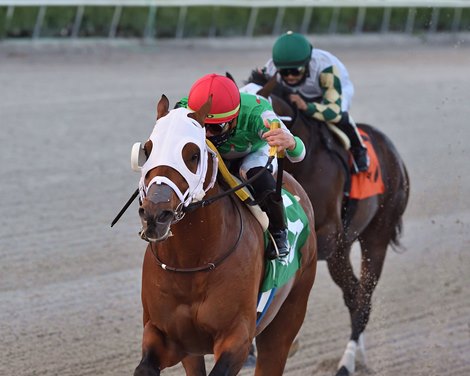 Mischevious Alex wins the 2021 Gulfstream Park Sprint Stakes                      