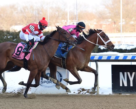 Make Mischief wins the 2021 Maddie May Stakes at Aqueduct                    