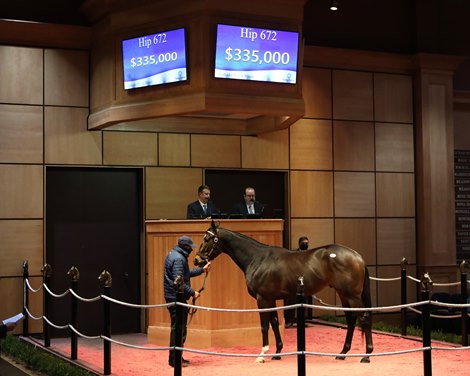 Hip 672, Hello Hot Rod 2021 Fasig-Tipton Winter Mixed Sale 