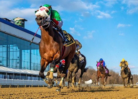 Share the Ride wins the General George Stakes Saturday, February 20, 2021 at Laurel Park